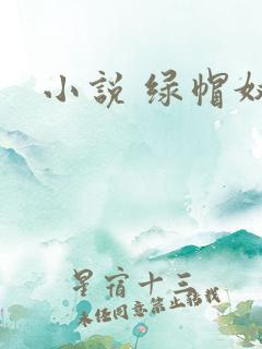 小说 绿帽奴