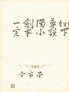 一剑独尊txt完本小说下载