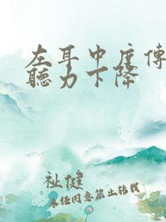 左耳中度传导性听力下降