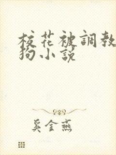 校花被调教成母狗小说