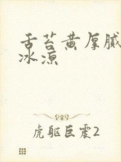 舌苔黄厚腻手脚冰凉