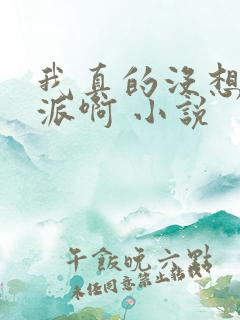 我真的没想当反派啊 小说