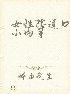 女性阴道口处有小肉芽