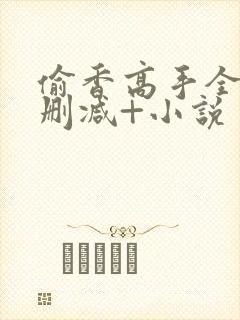 偷香高手全文无删减+小说