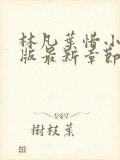 林凡叶惜小说正版最新章节