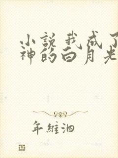 小说 我成了男神的白月光