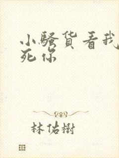 小骚货看我不操死你