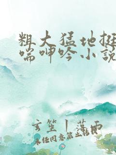 粗大猛地挺进娇喘呻吟小说