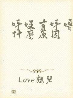 呼吸有呼噜声是什么原因