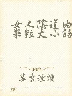 女人阴道内长有米粒大小的小米粒