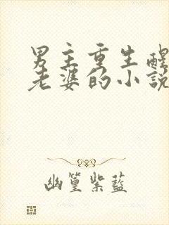 男主重生醒来有老婆的小说