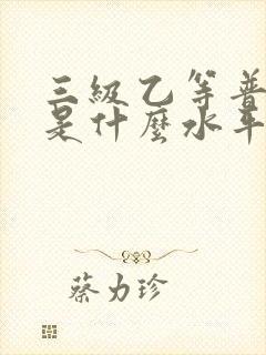 三级乙等普通话是什么水平