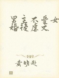 男主不爱女主的婚后虐文