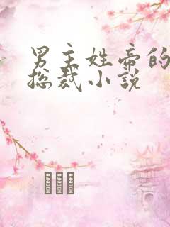 男主姓帝的霸道总裁小说