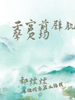 子宫前壁肌层回声欠均