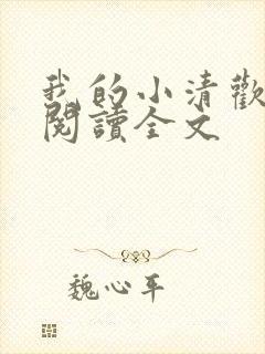 我的小清欢在线阅读全文