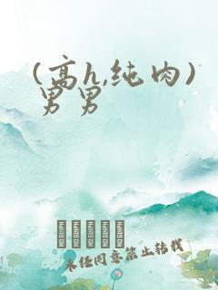 (高h,纯肉)男男