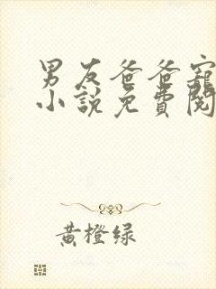 男友爸爸宠幸我小说免费阅读