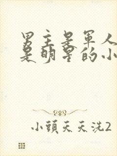 男主是军人女主是明星的小说