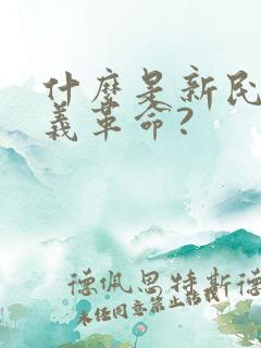 什么是新民主主义革命?