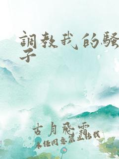 调教我的骚货妻子