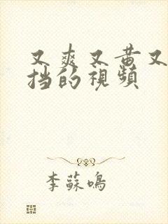 又爽又黄又无遮挡的视频