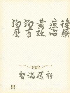 狗狗黄疸后期怎么有效治疗