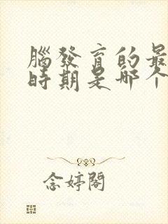 脑发育的最关键时期是哪个时期