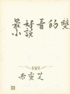 最好看的双女主小说