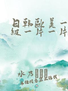 日韩欧美一级一级一片一片