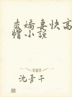 爽娇妻快高h绿帽小说
