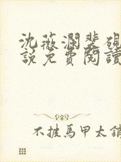 沈薇澜裴砚舟小说免费阅读最新章节