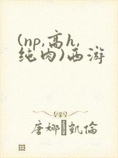 (np,高h,纯肉)西游