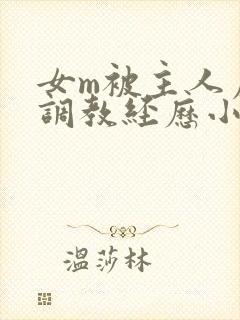 女m被主人虐玩调教经历小说