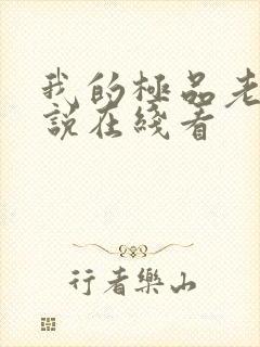 我的极品老婆小说在线看