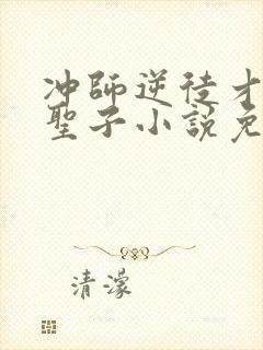 冲师逆徒才不是圣子小说免费观看