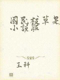 国民校草是女生小说版