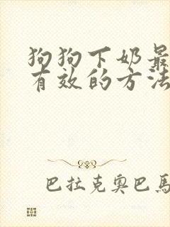 狗狗下奶最快最有效的方法