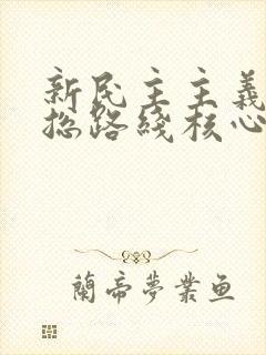 新民主主义革命总路线核心