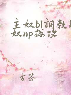 主奴bl调教贱奴np总攻