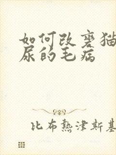 如何改变猫咪乱尿的毛病