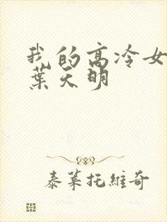 我的高冷女总裁叶天明