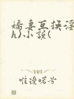 娇妻互换淫欢(h)小说(