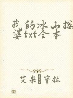 我的冰山总裁老婆txt全本