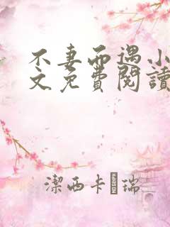 不妻而遇小说全文免费阅读