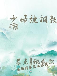 少妇被调教到高潮