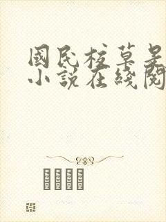 国民校草是女生小说在线阅读