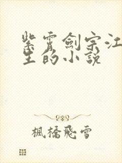 紫霄剑宗江寒重生的小说