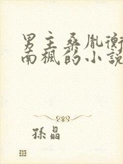 男主桑胤衡女主南枫的小说