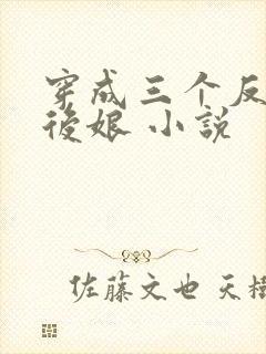 穿成三个反派的后娘 小说